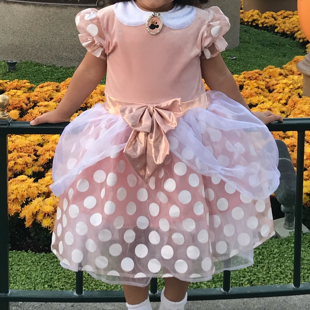rose gold minnie mouse costume